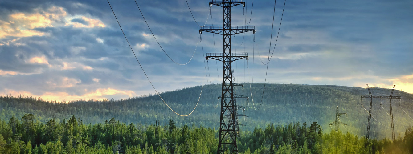 SMR action plan in Canada utilizes the power grid